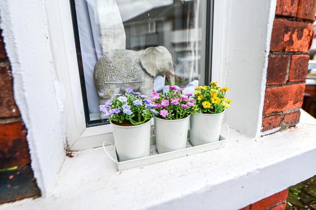 Апартаменты Aunty Katie'S House, Ni Tourist Board Certified With Free Continental Breakfast Белфаст Экстерьер фото